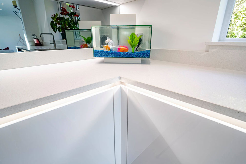 AG Quartz Blanco Ice (cabinetry by Zest Kitchens)